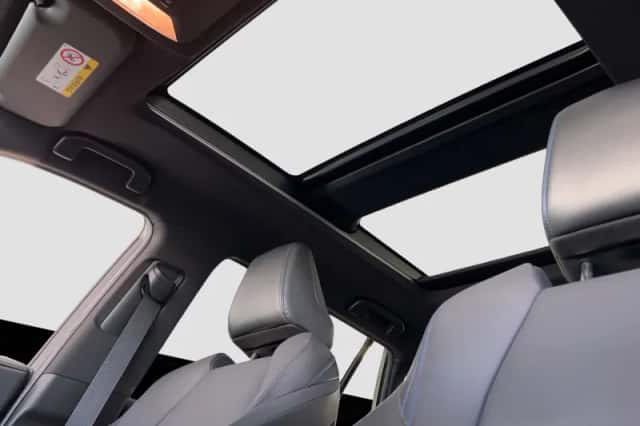 Toyota RAV4 (2019) thumbnail 2