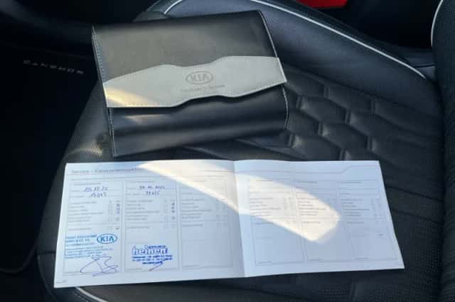 Kia Sorento (2020) thumbnail 29