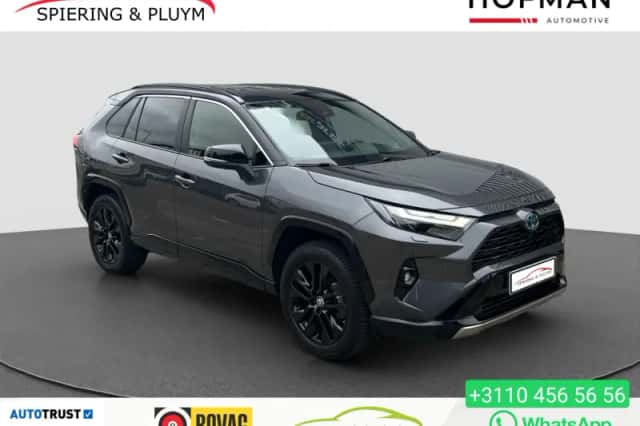 Toyota RAV4 (2019) thumbnail 1