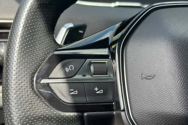 Peugeot 3008 (2019) thumbnail 20