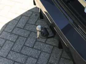 BMW 3-Serie (2025) thumbnail 35