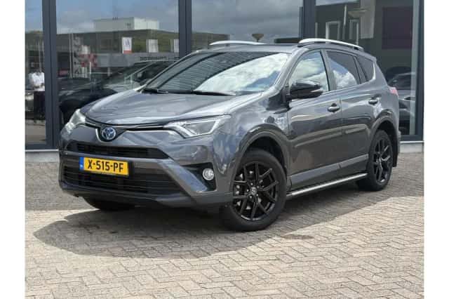 Toyota RAV4 (2018) thumbnail 1