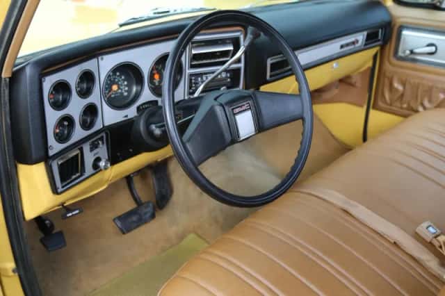 GMC Pick-Up (1979) thumbnail 31