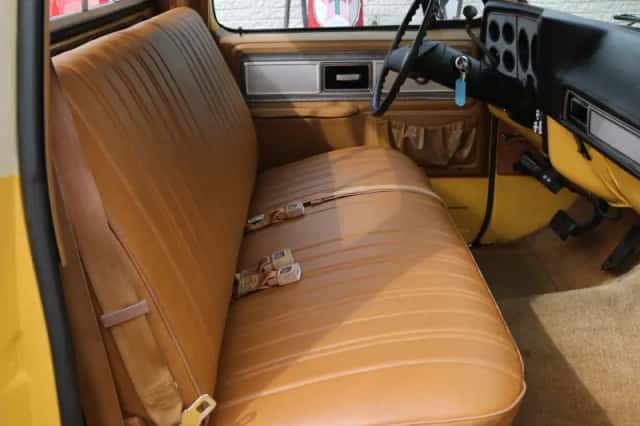 GMC Pick-Up (1979) thumbnail 34