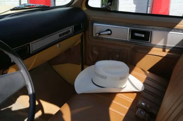 GMC Pick-Up (1979) thumbnail 43