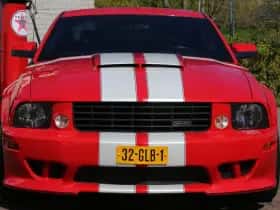Ford Saleen (2005) thumbnail 23