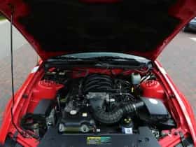 Ford Saleen (2005) thumbnail 52