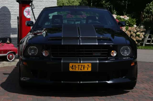 Ford Saleen S281 (2007) thumbnail 33