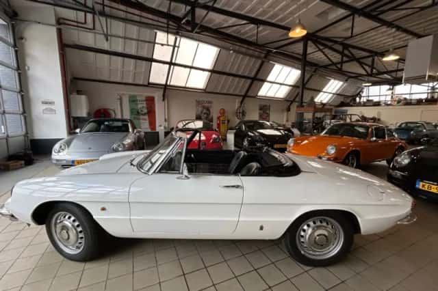 Alfa Romeo Duetto (1967) thumbnail 4