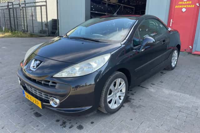 Peugeot 207 (2007) thumbnail 1