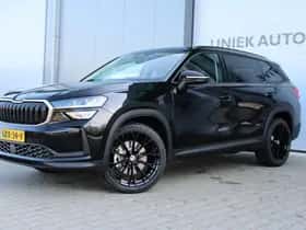 Škoda Kodiaq thumbnail 18