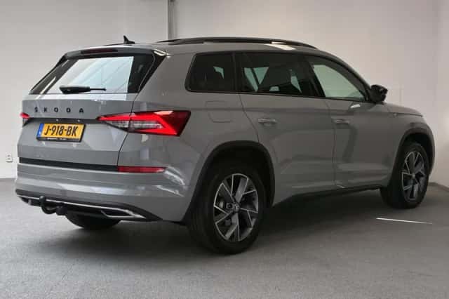 Škoda Kodiaq (2020) thumbnail 2