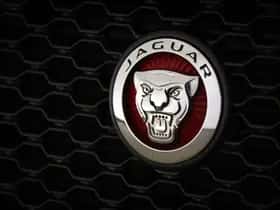 Jaguar F-Pace (2019) thumbnail 19