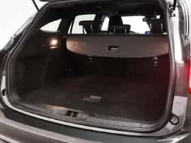 Ford Focus (2019) thumbnail 11