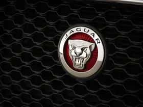 Jaguar XE (2015) thumbnail 15