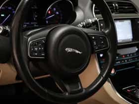 Jaguar XE (2015) thumbnail 32