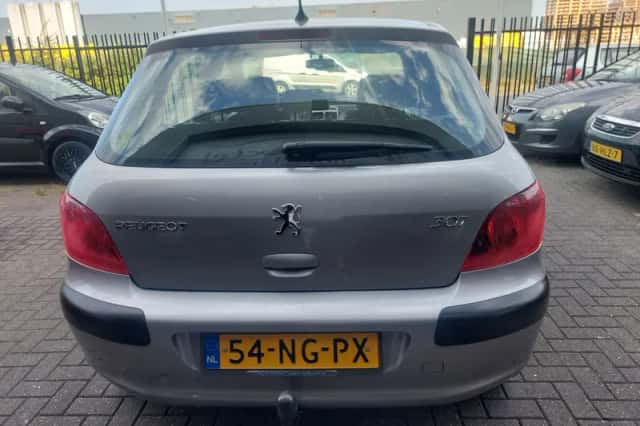 Peugeot 307 (2003) thumbnail 3