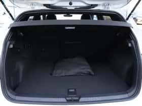Volkswagen Golf (2026) thumbnail 19