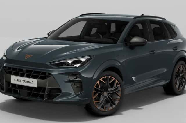 CUPRA Terramar (2025) thumbnail 1