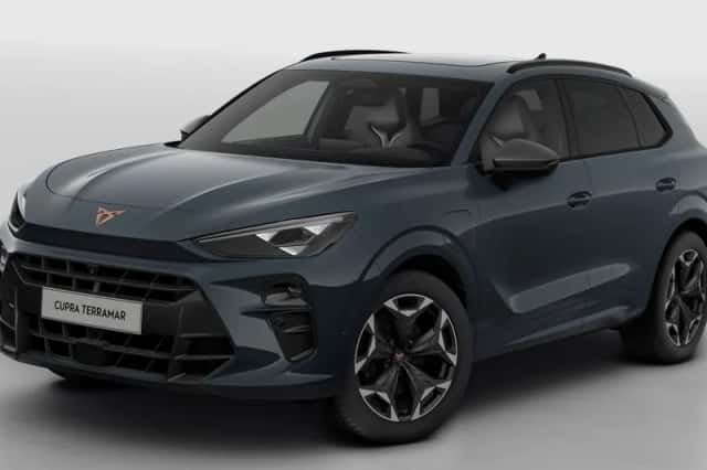 CUPRA Terramar (2025) thumbnail 1