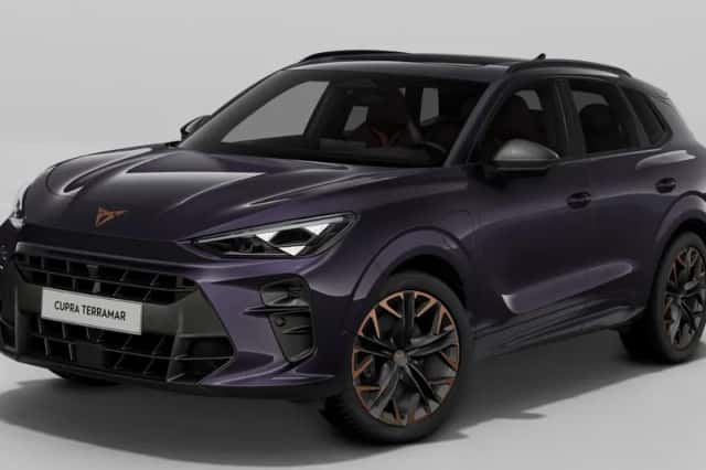 CUPRA Terramar (2025) thumbnail 1