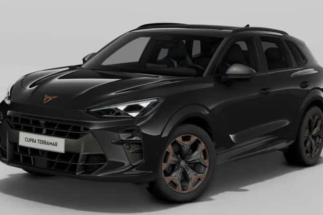 CUPRA Terramar (2025) thumbnail 1