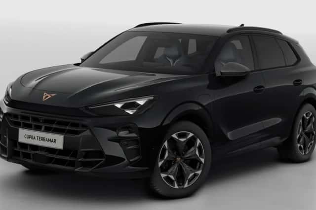 CUPRA Terramar (2025) thumbnail 1