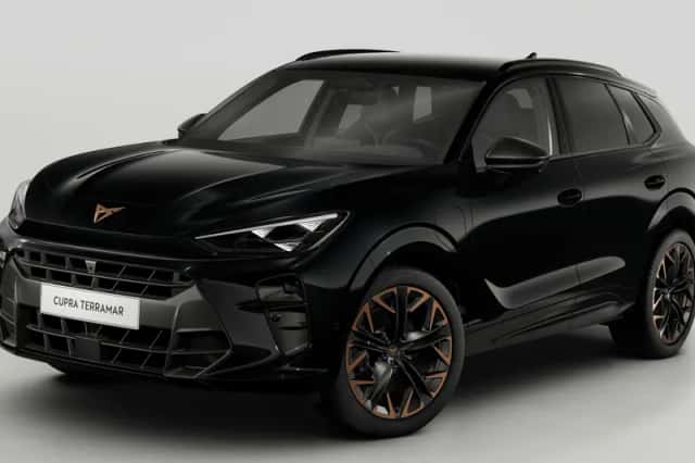 CUPRA Terramar (2025) thumbnail 1