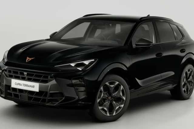 CUPRA Terramar (2025) thumbnail 1