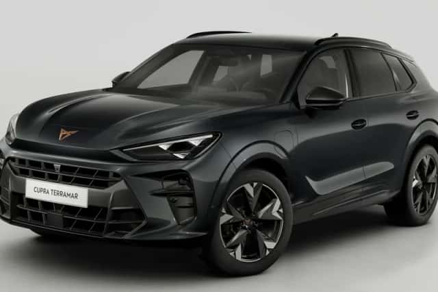 CUPRA Terramar (2025) thumbnail 1