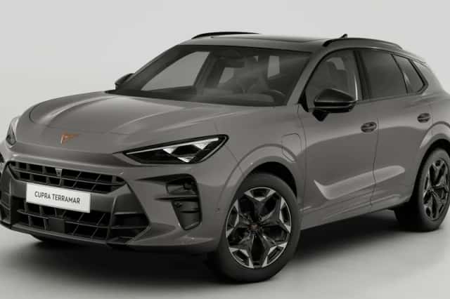 CUPRA Terramar (2025) thumbnail 1