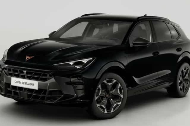 CUPRA Terramar (2025) thumbnail 1