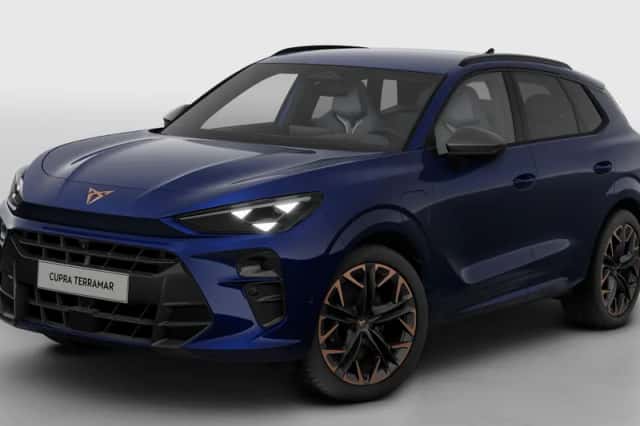 CUPRA Terramar (2025) thumbnail 2