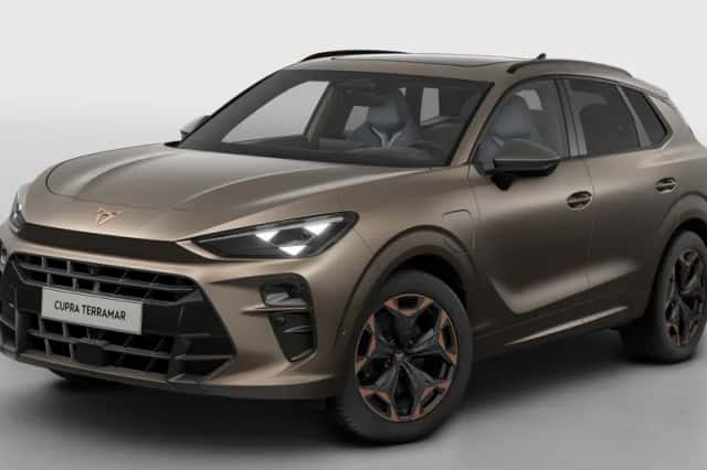 CUPRA Terramar (2025) thumbnail 2