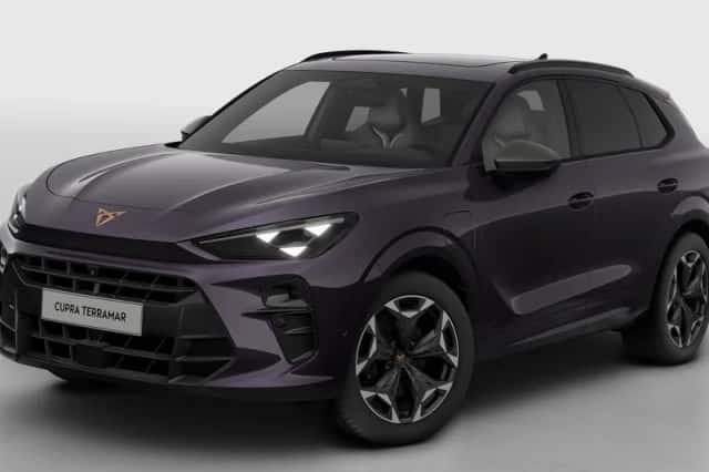 CUPRA Terramar (2026) thumbnail 2