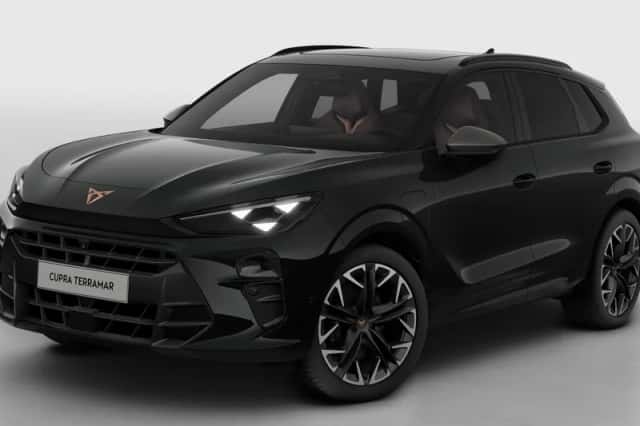 CUPRA Terramar (2026) thumbnail 2