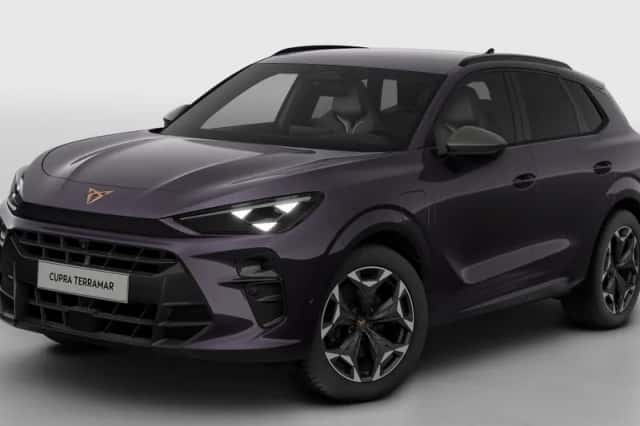 CUPRA Terramar (2026) thumbnail 2