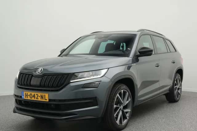 Škoda Kodiaq (2020) thumbnail 1