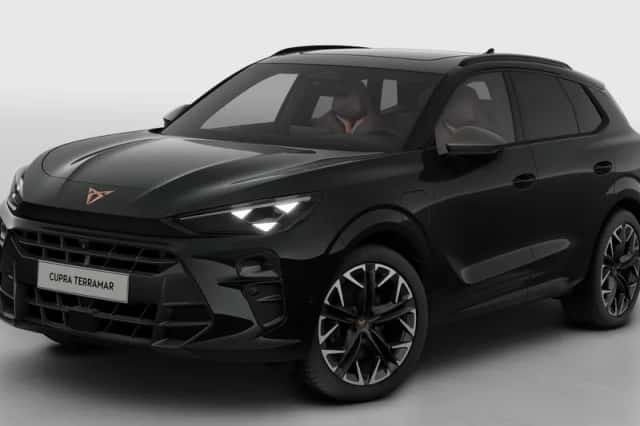 CUPRA Terramar (2026) thumbnail 2