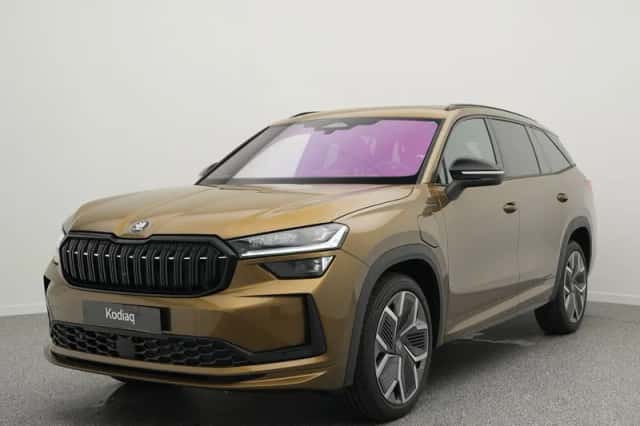 Škoda Kodiaq (2026) thumbnail 1