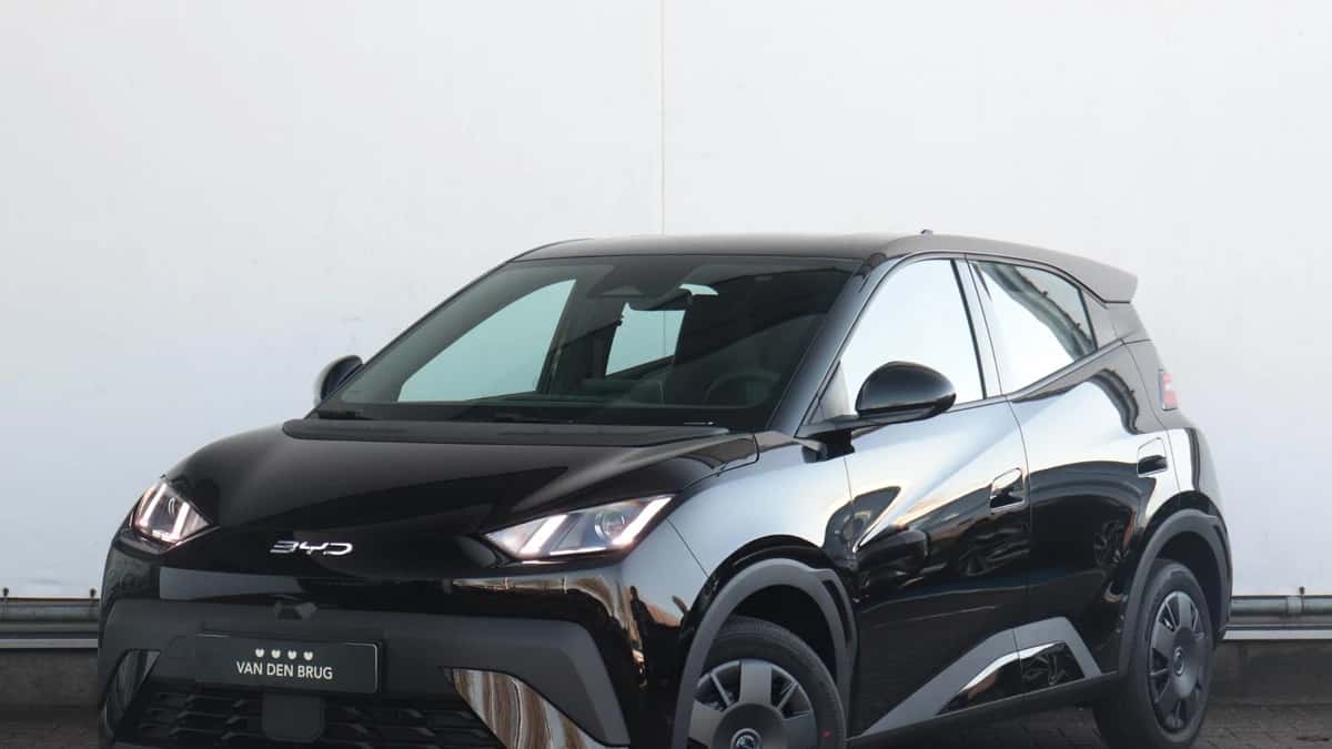 BYD Dolphin (2026) — foto 1