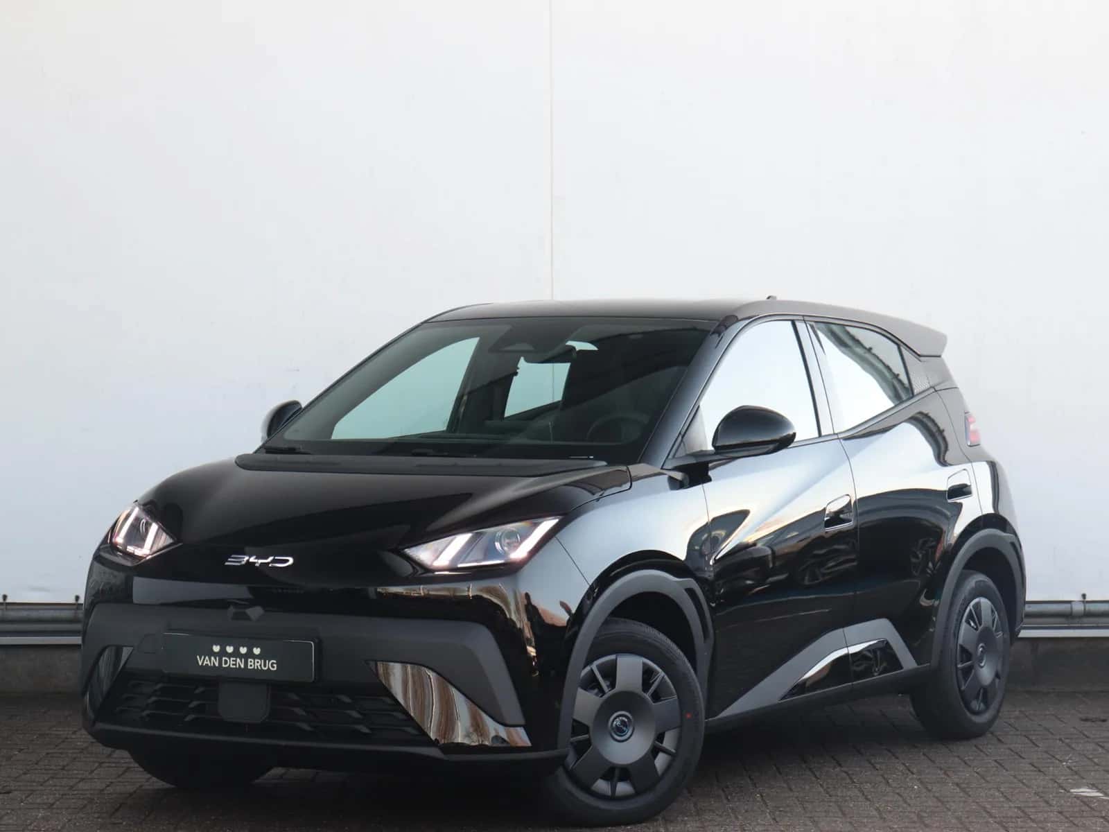 BYD Dolphin (2026) — foto 1