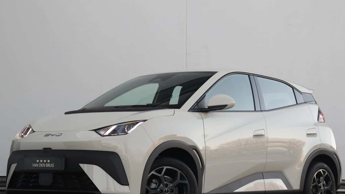 BYD Dolphin (2026) — foto 1