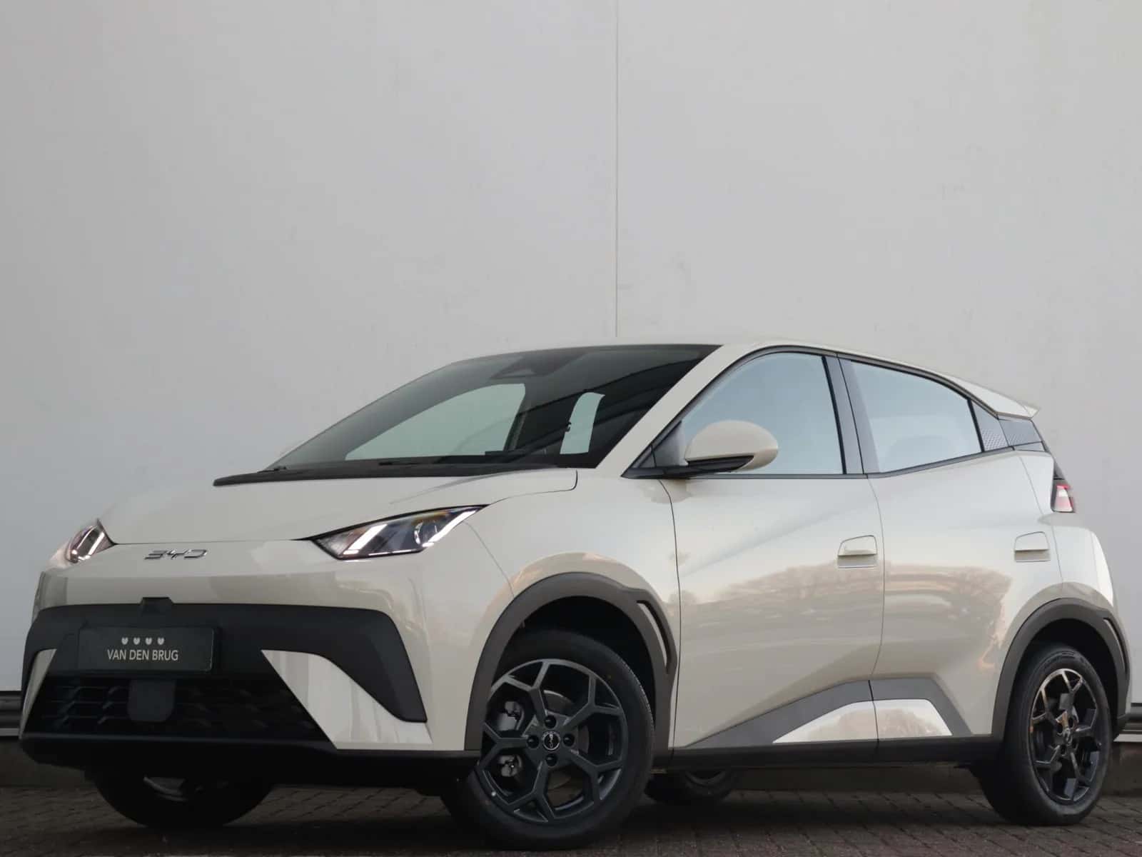 BYD Dolphin (2026) — foto 1