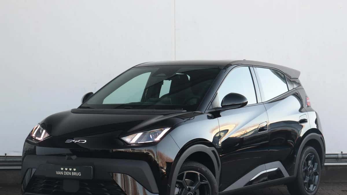 BYD Dolphin (2026) — foto 1