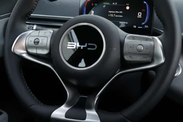BYD Dolphin (2026) thumbnail 31