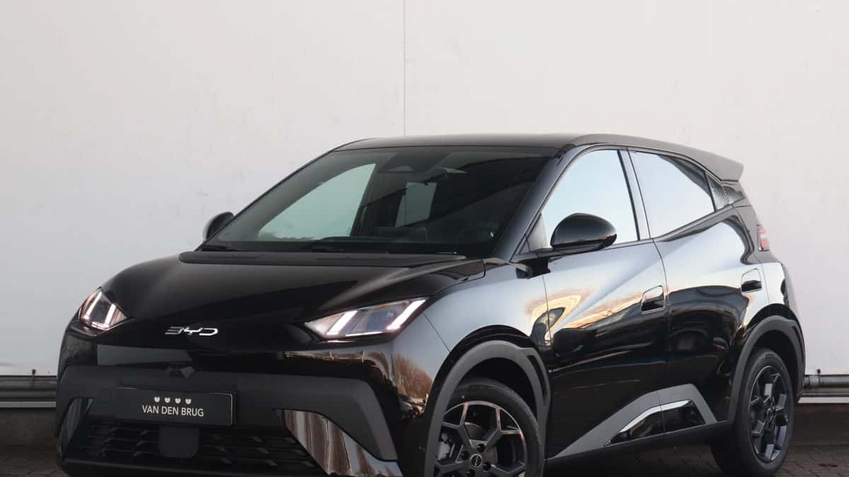 BYD Dolphin (2026) — foto 1