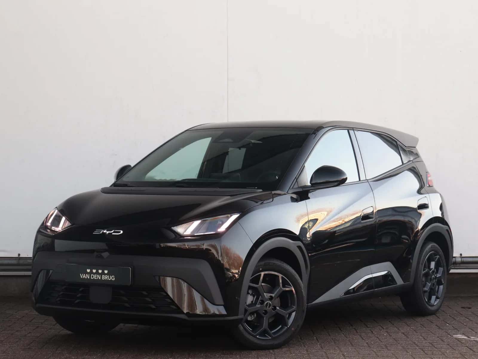 BYD Dolphin (2026) — foto 1