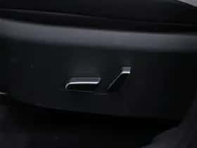 BYD Dolphin (2026) thumbnail 19
