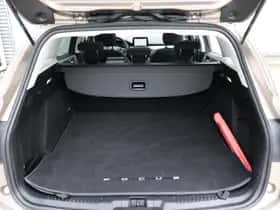 Ford Focus (2019) thumbnail 14